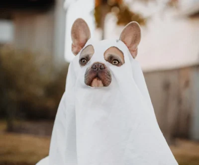 product-thumb-5_optimized Consectetur Adipiscing